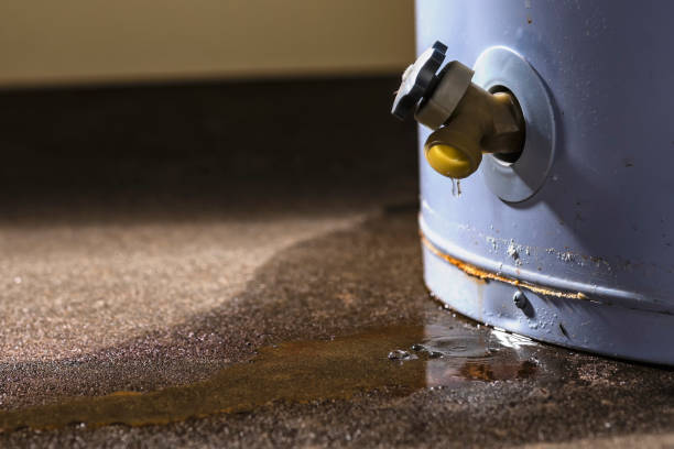 Trusted West Milton, PA Water damage restoration Experts