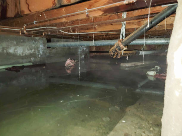 Best Flood restoration services  in West Milton, PA