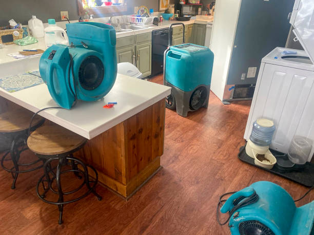 Best Local water damage restoration  in West Milton, PA