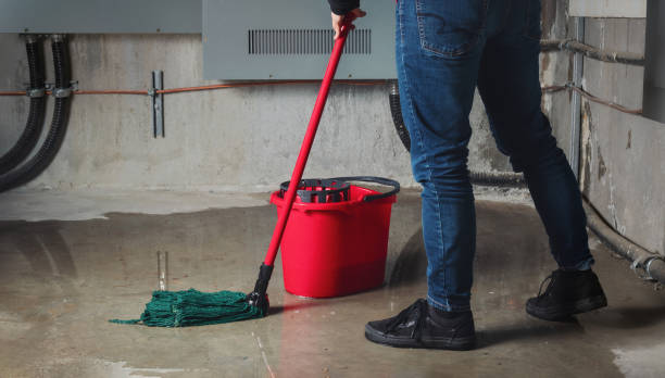 Best Water damage contractors near me  in West Milton, PA