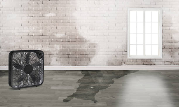 Best Residential water damage restoration  in West Milton, PA