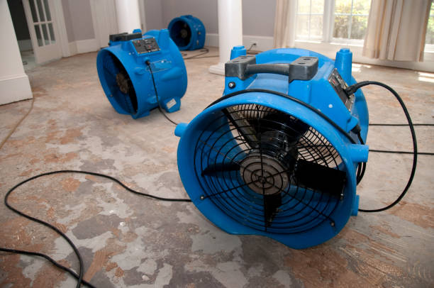 Best Professional water damage repair  in West Milton, PA