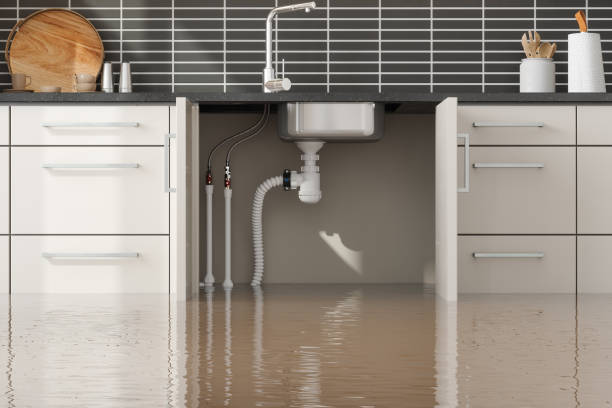 Best Flooded house restoration  in West Milton, PA