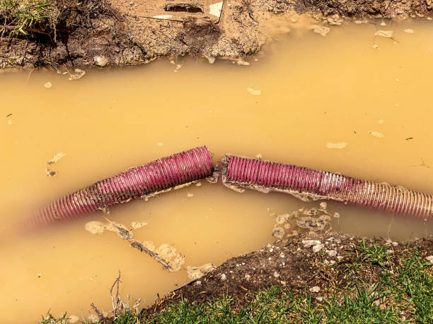 Best Basement water damage restoration  in West Milton, PA