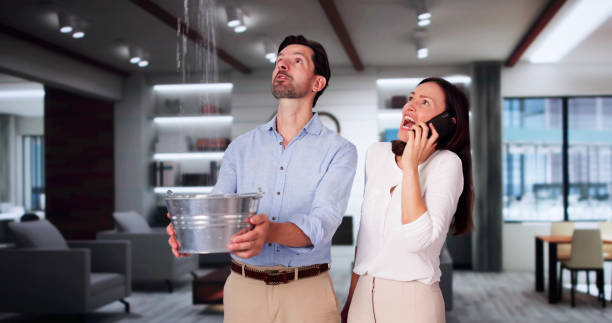 Best Water damage restoration near me  in West Milton, PA