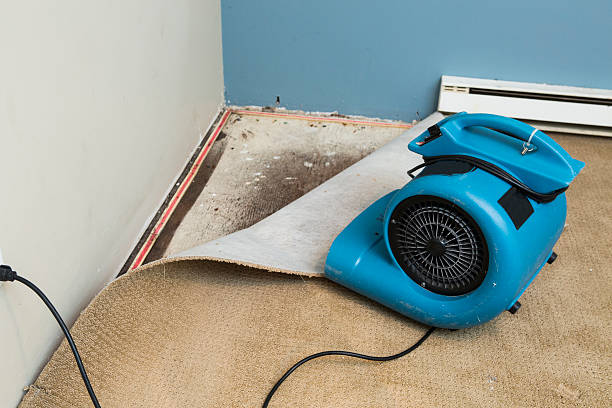 Best Residential water damage restoration  in West Milton, PA